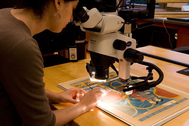 Image of a woman observing a paper under a microscope