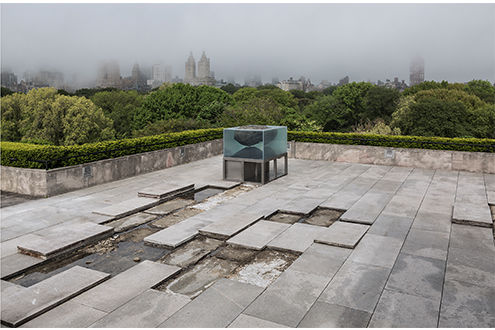 The Roof Garden Commission Pierre Huyghe The Metropolitan Museum Of Art