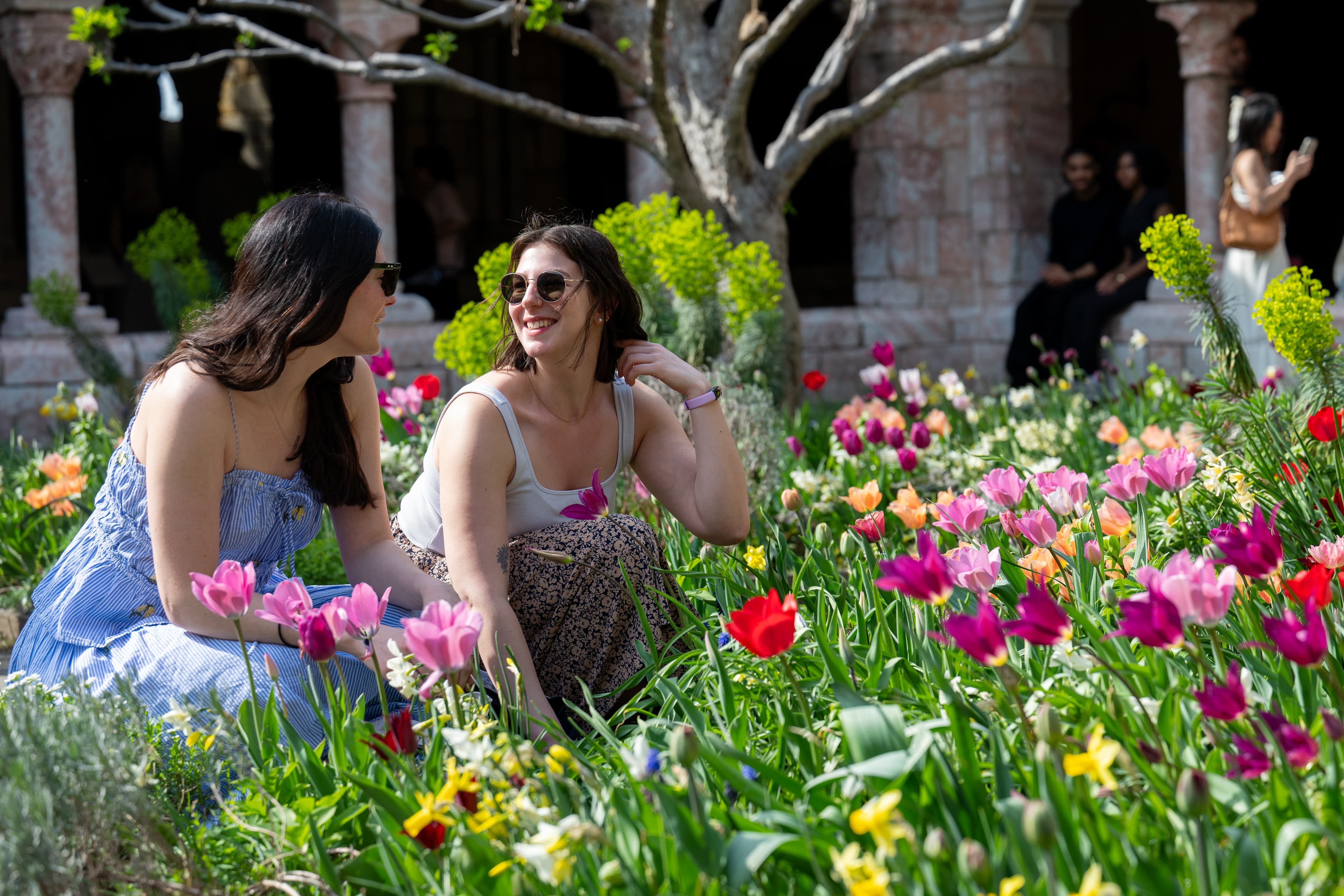 Two women crouching in a bed of colorful tulips