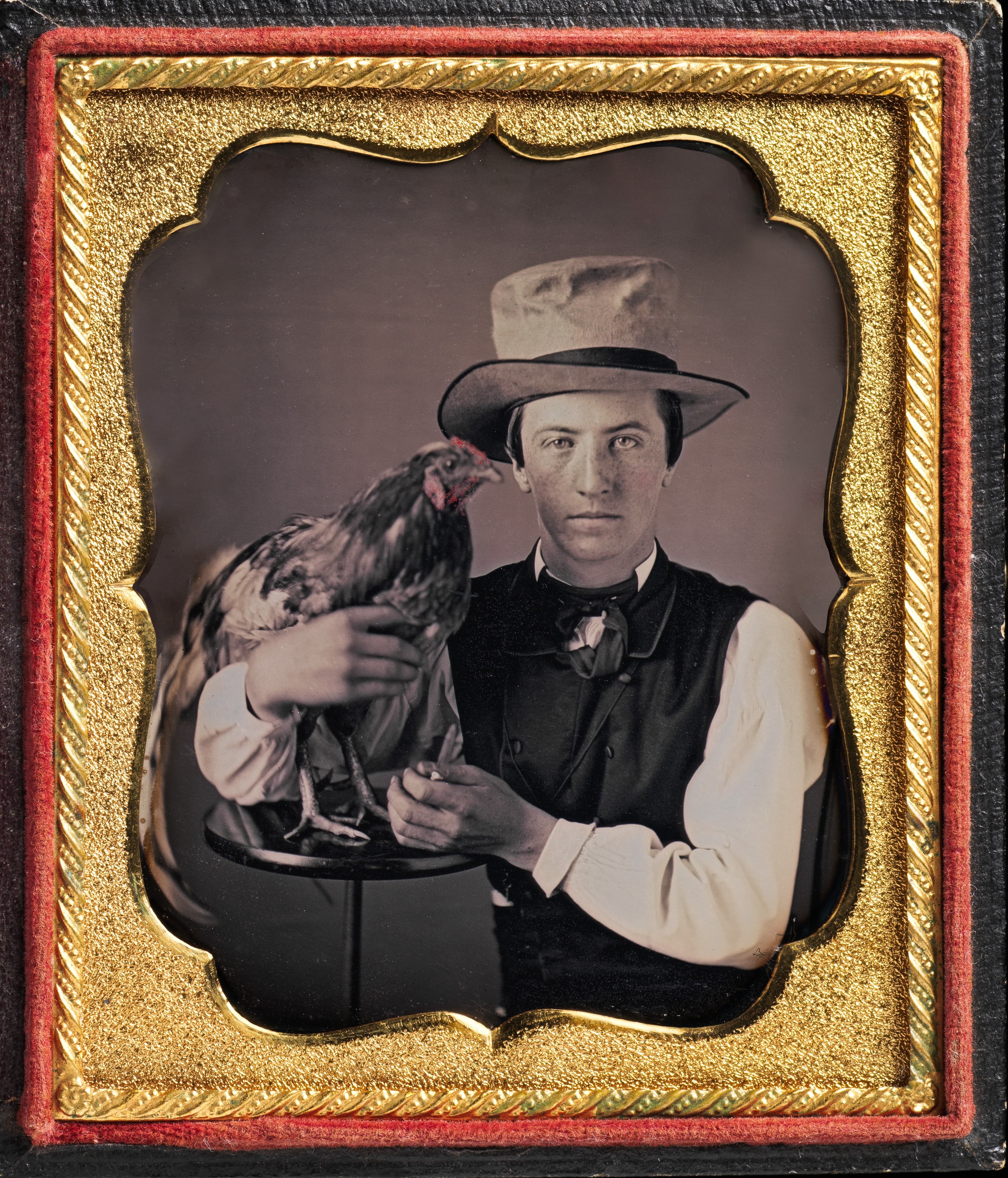 An original daguerreotype of a man with his rooster. This black and white image is a headshot of a man, wearing a hat and posing with his pet rooster. 