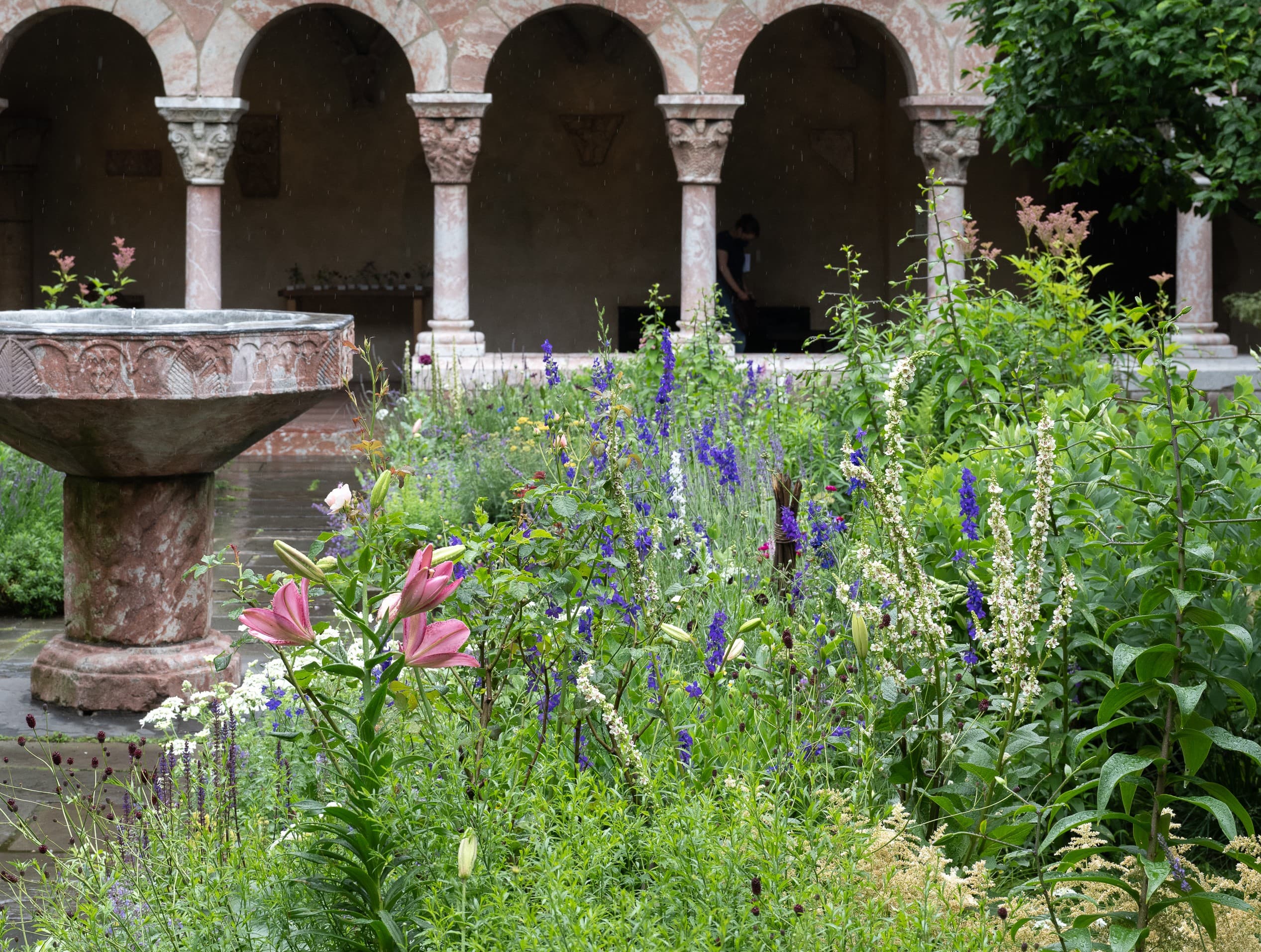 Flowers growing in the Judy Black garden at The Met Cloisters