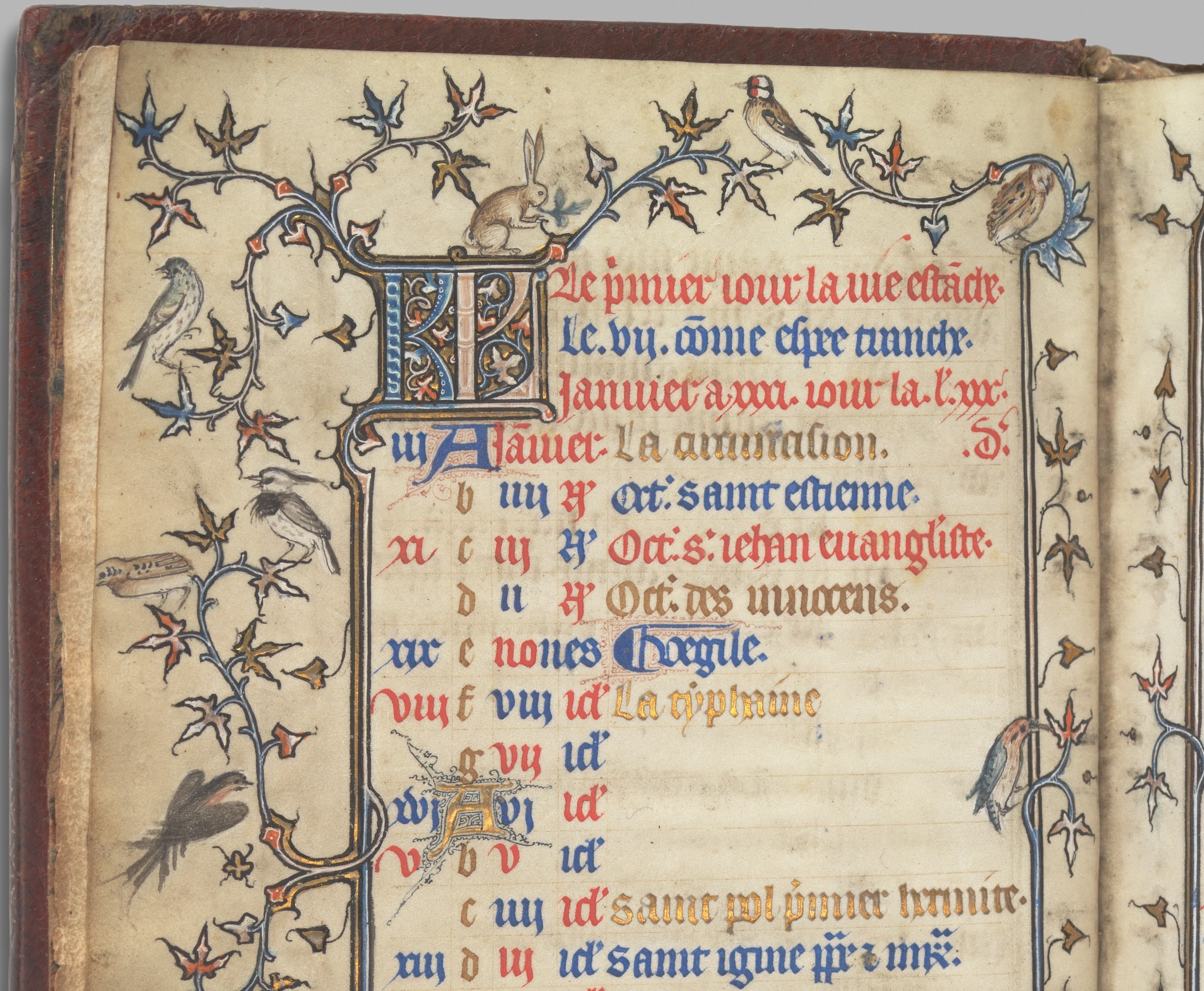 detail of the margin of a medieval manuscript showing birds