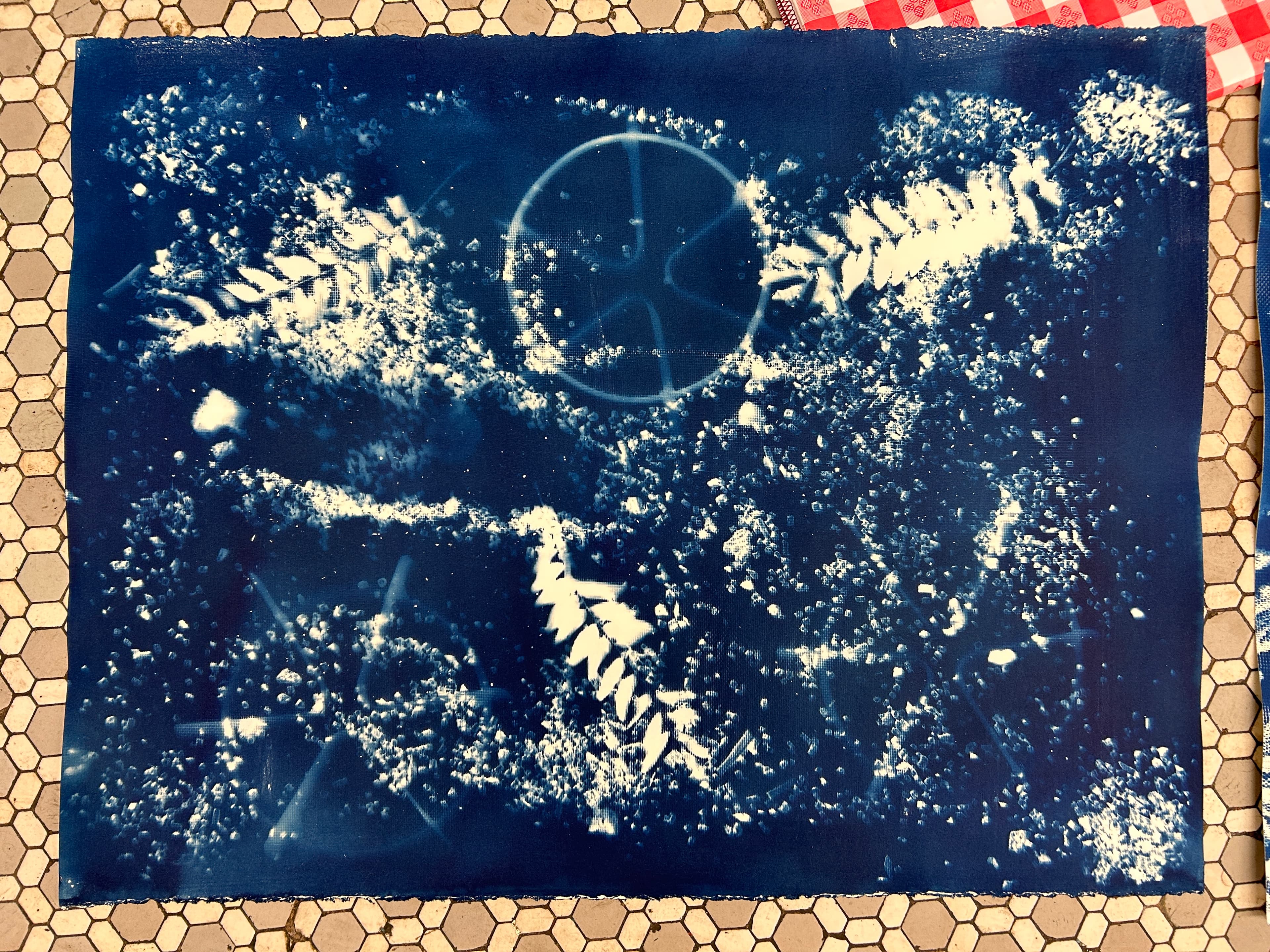 A cyanotype print with white fern leaves, circular patterns, and speckled textures on a Prussian blue background, placed on a tiled surface.