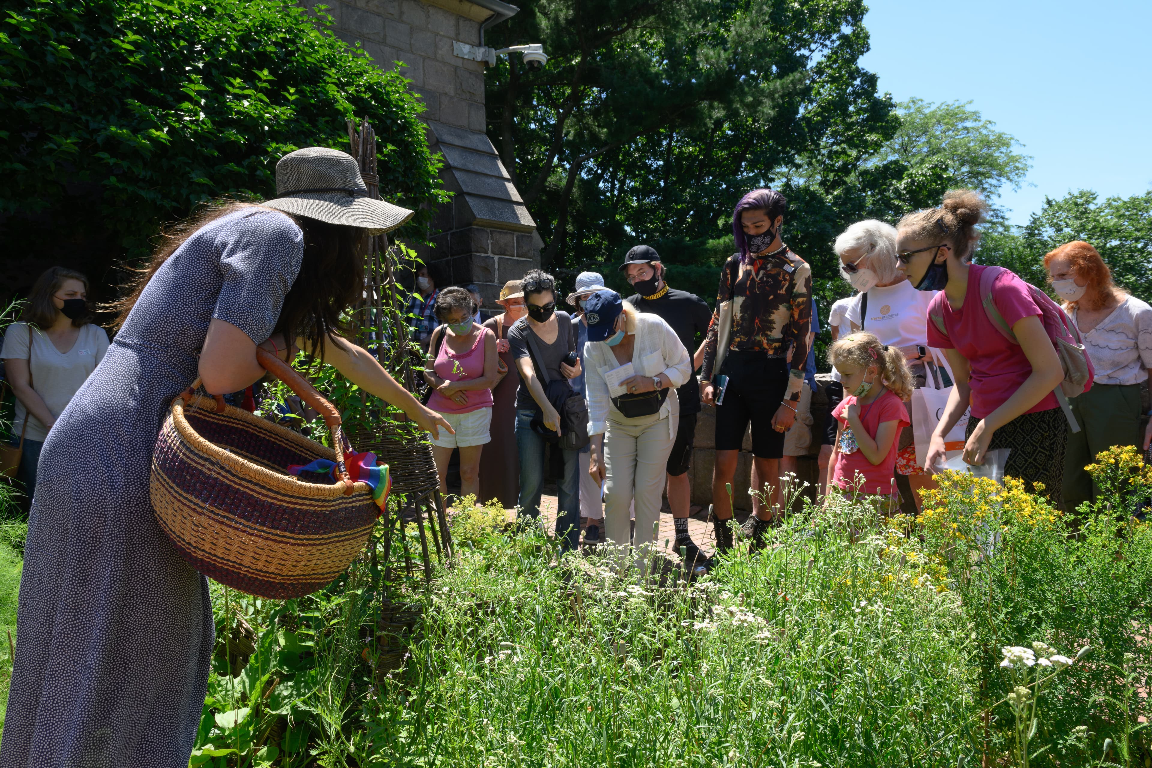 Gente observando plantas en los jardines de The Met Cloisters