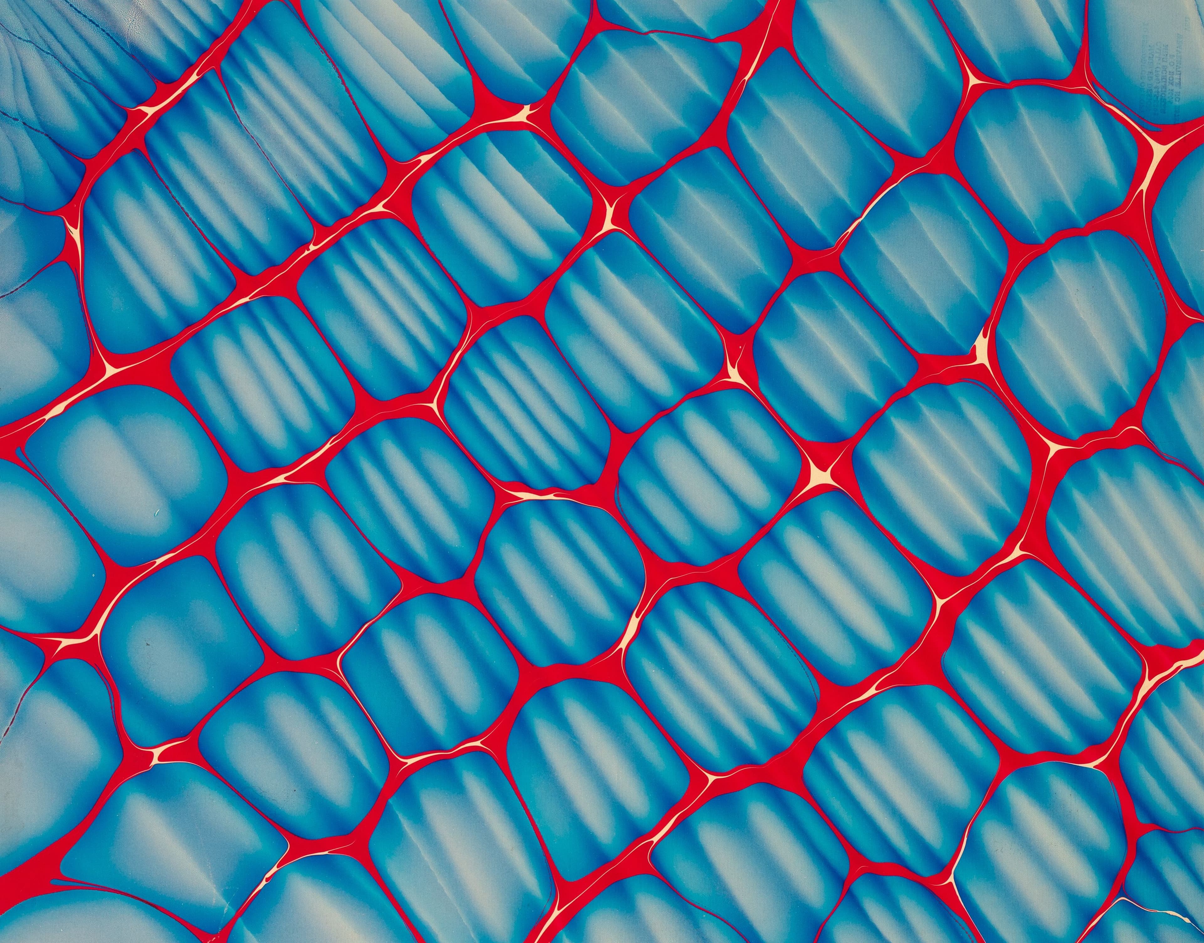A series of blue and white organic shapes outlined in red, spreading diagonally across a sheet of paper.
