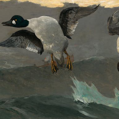 Artwork by Winslow Homer