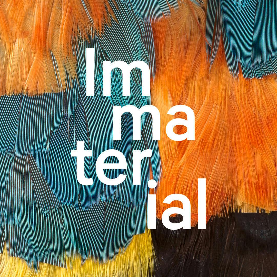 White "Immaterial" logo text superimposed on a close-up of colorful feathers.