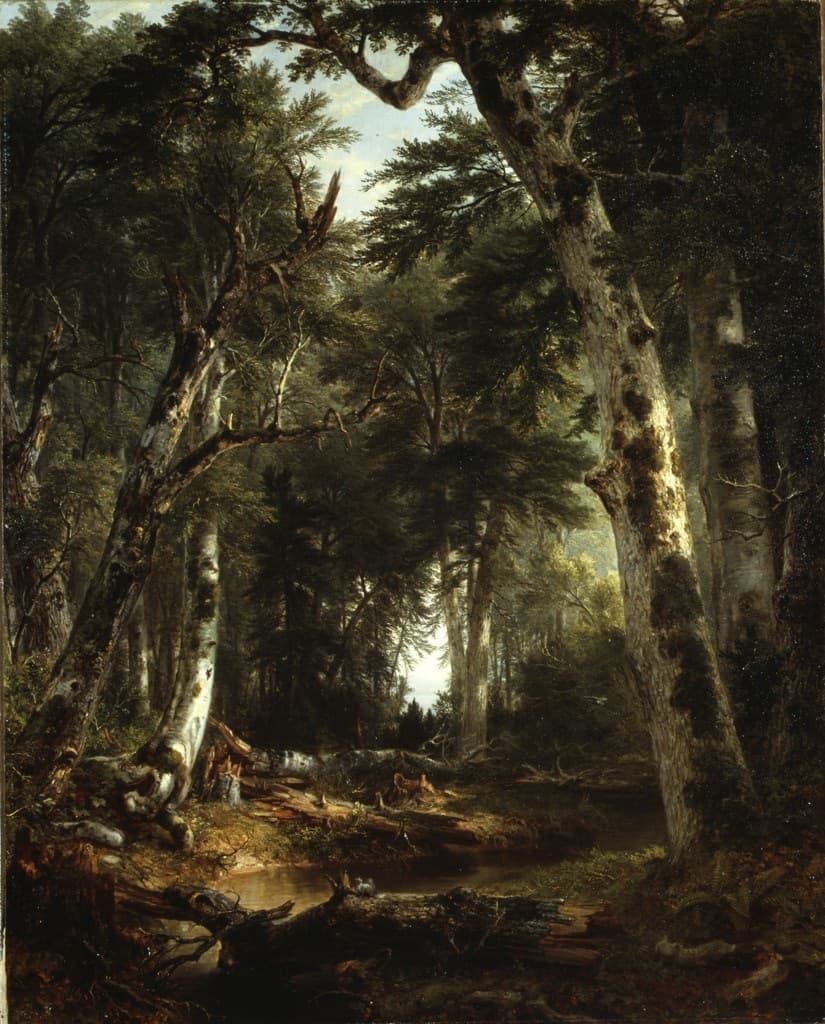 A beautiful, brightly lit forest with the sun coming through the trees. The trees are curved to create a tunnel shape with a bright light at the end. There is a dirt road in the foreground.