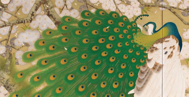 Detail from Imazu Tatsuyuki's "Peacock and Cherry Tree" painted in greens, white, beige, and blues on a folding screen