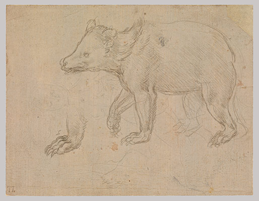 Leonardo Da Vinci 14521519 Essay Heilbrunn Timeline