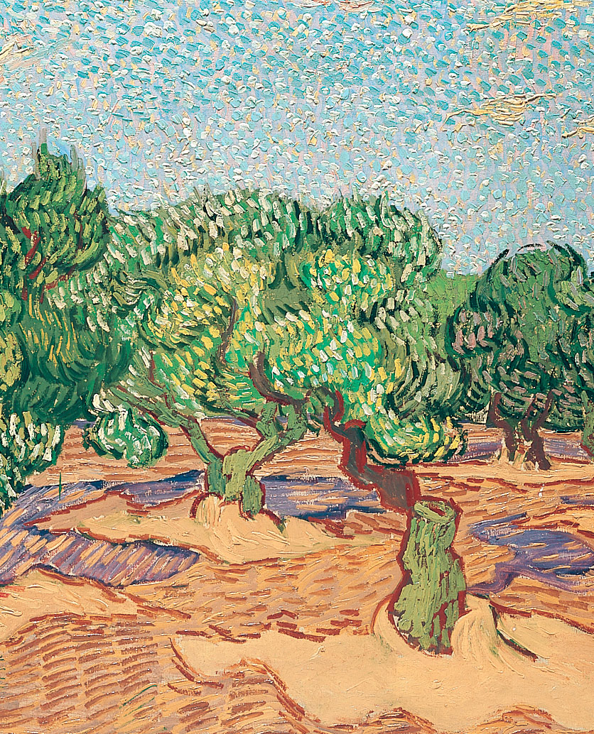 Olive tree trading analysis system