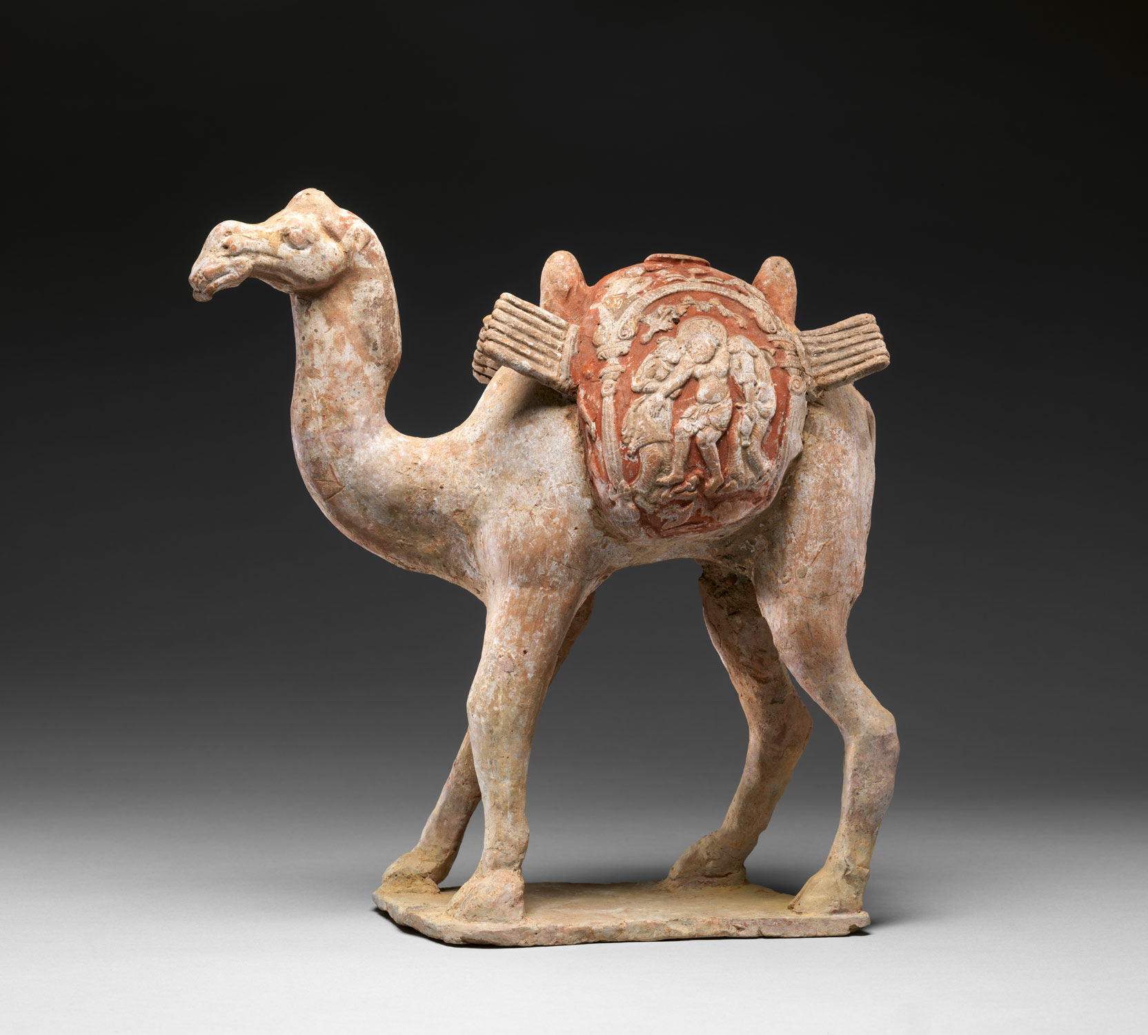 Camel with packboards and baggage