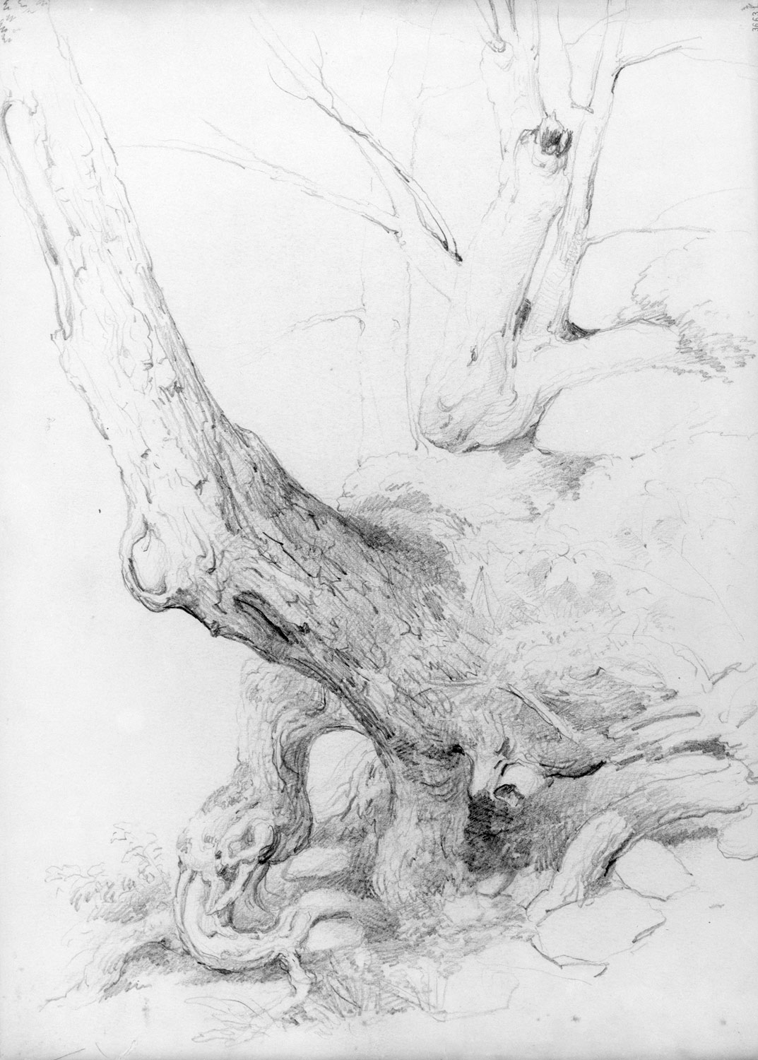 Sketch from Nature, 				ArtistAsher Brown Durand,Drawings