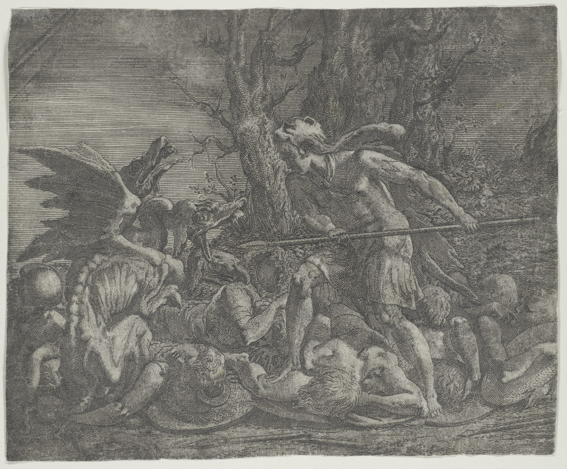 Cadmus fighting the Dragon