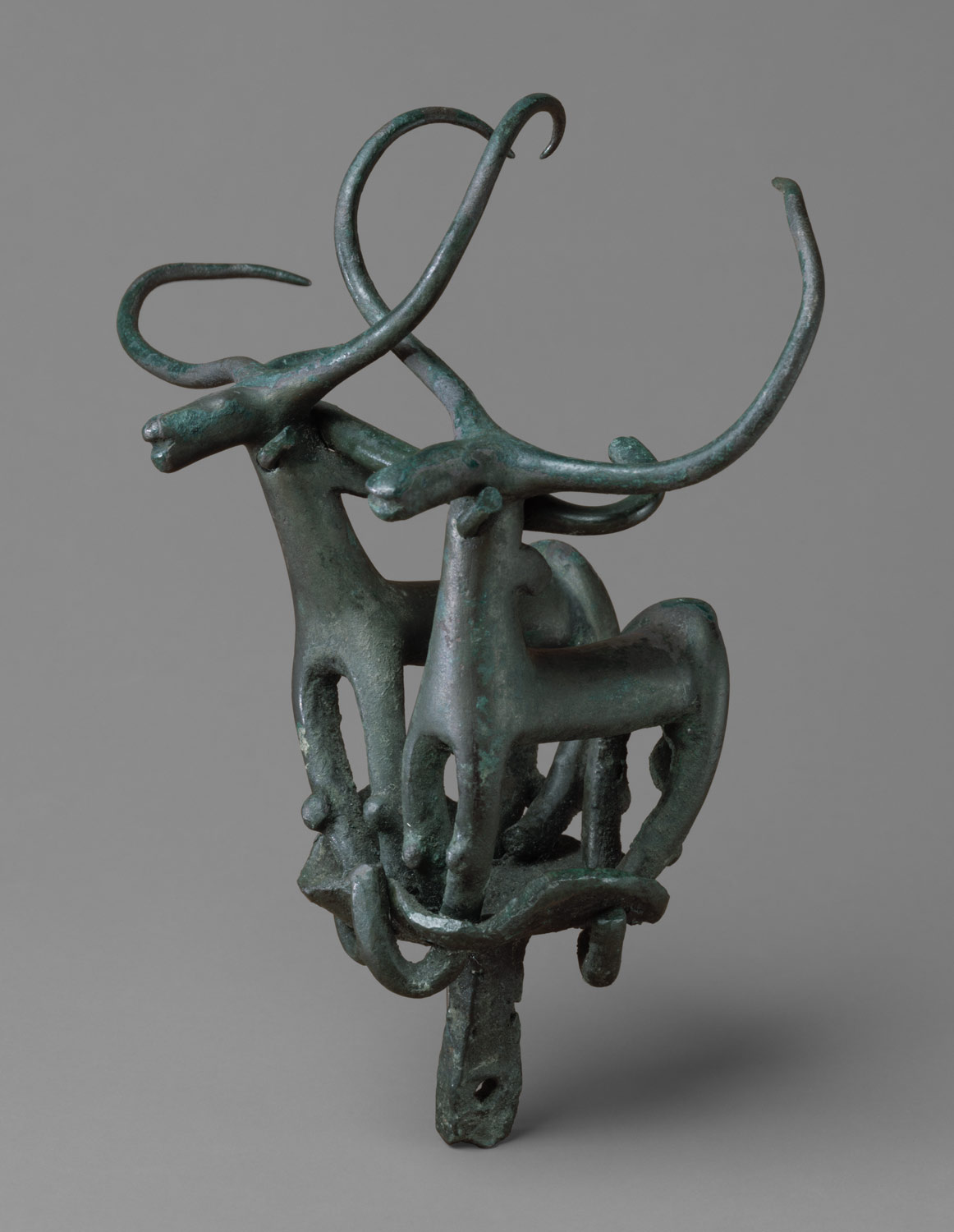 Standard with two long-horned bulls