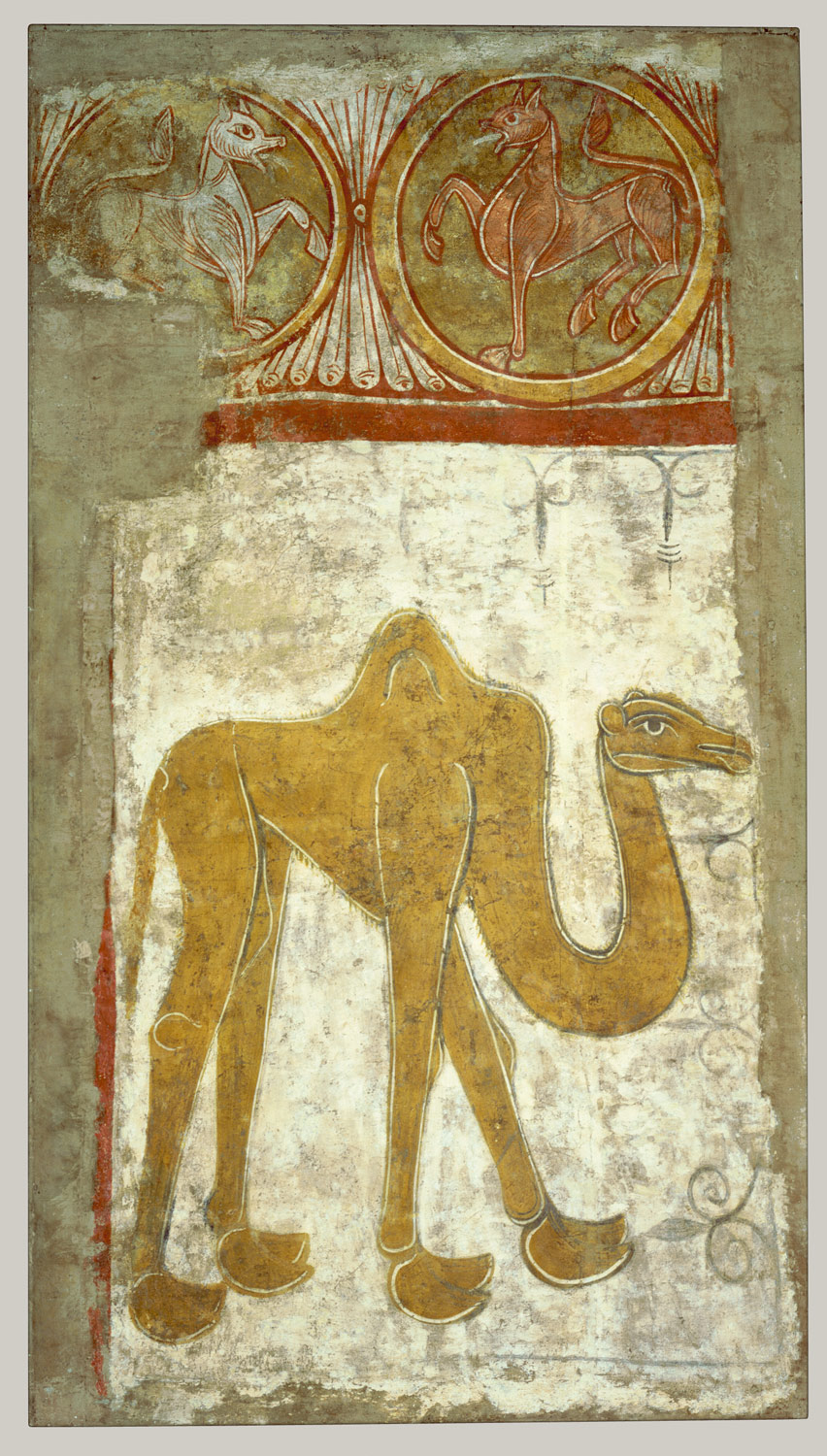 Camel