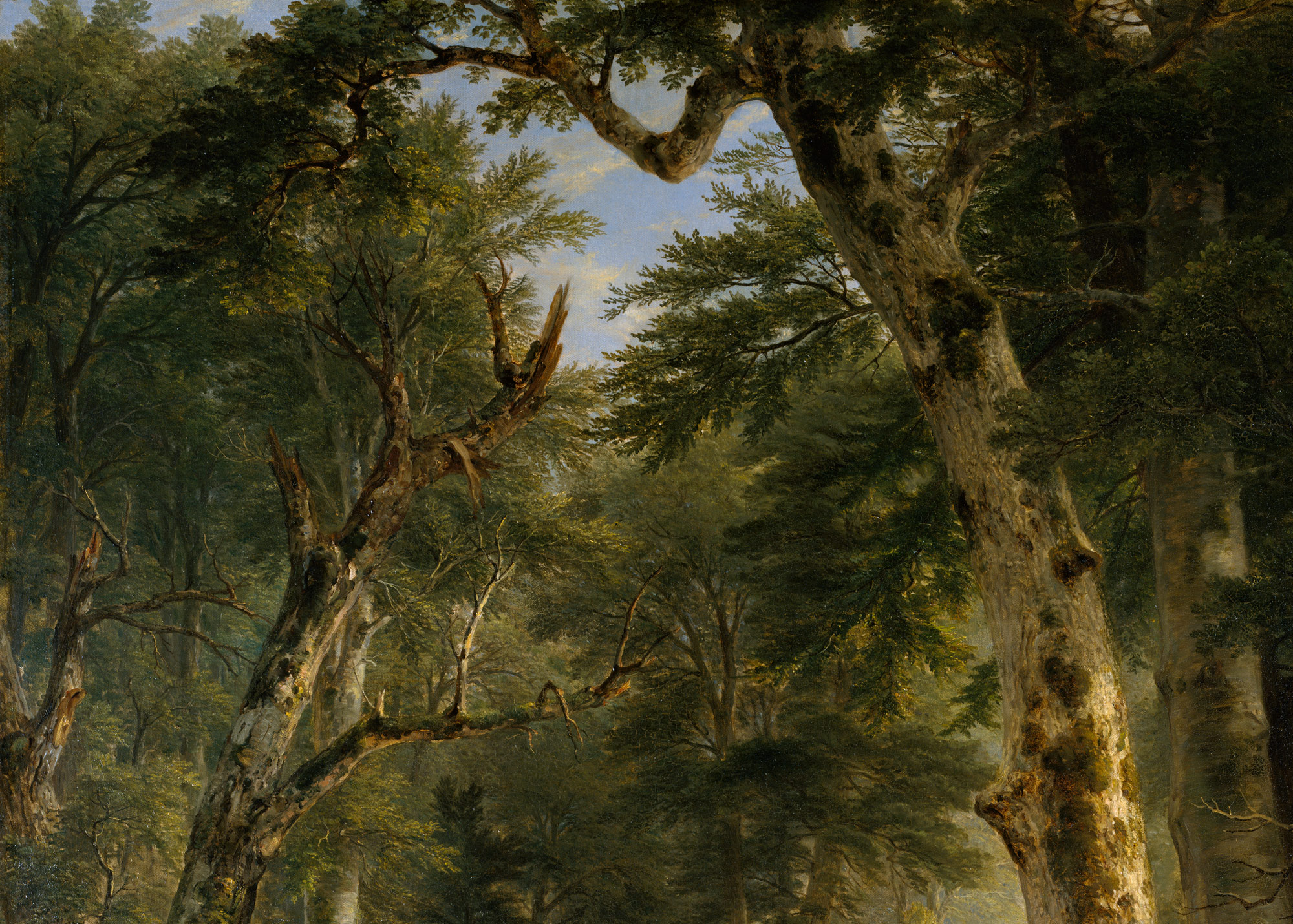 In the Woods | Asher Brown Durand | 95.13.1 | Work of Art | Heilbrunn