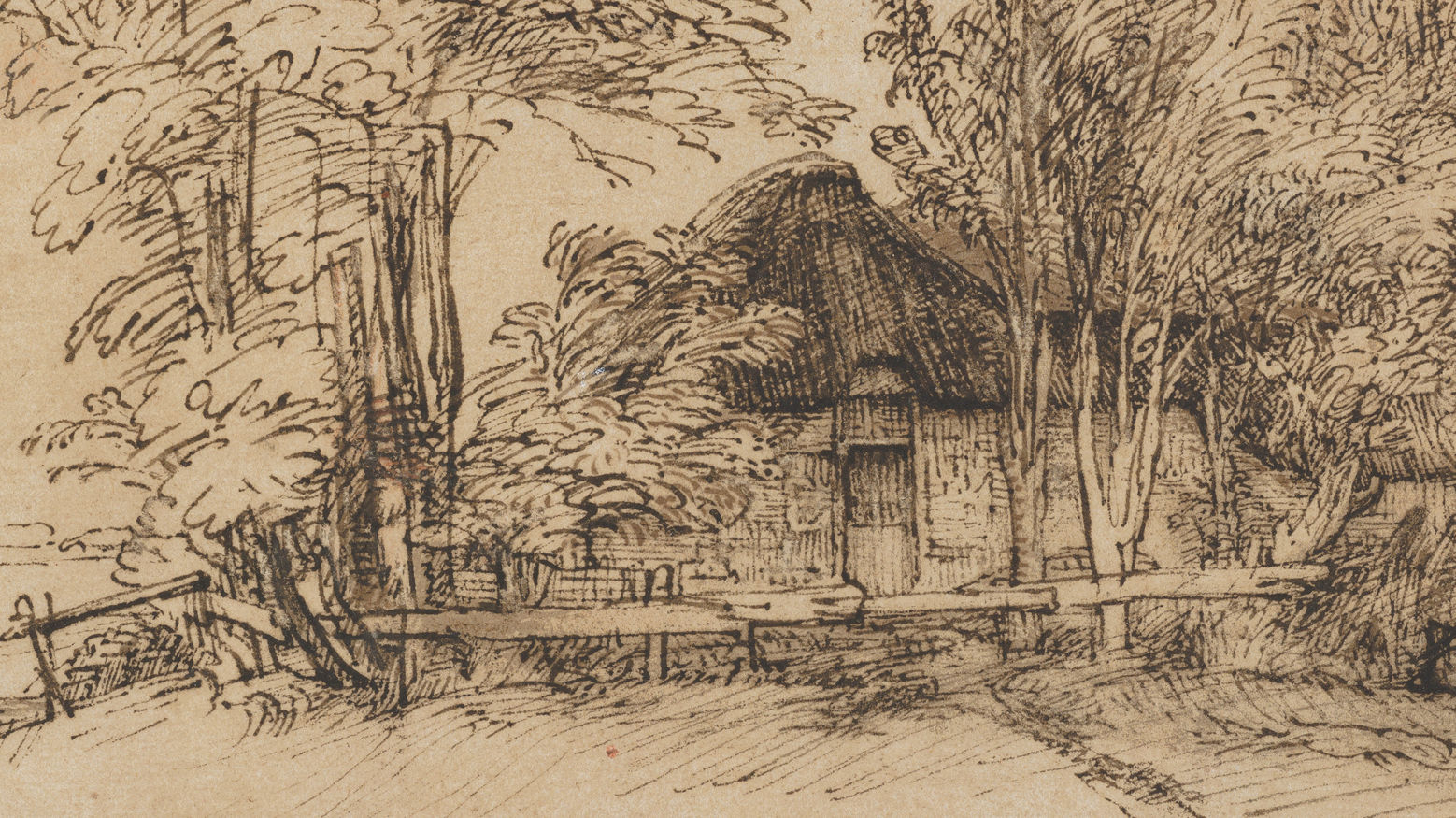 A frenetic, detailed line drawing of a thatched-roof cottage surrounded by trees and farmland.